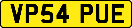 VP54PUE