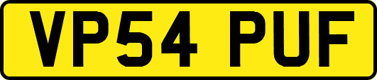 VP54PUF