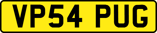 VP54PUG