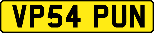 VP54PUN