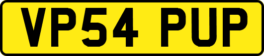 VP54PUP