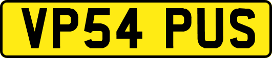 VP54PUS