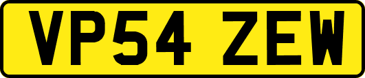VP54ZEW
