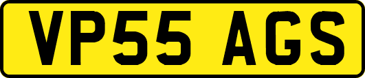 VP55AGS