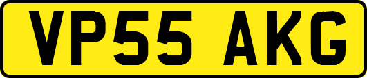 VP55AKG