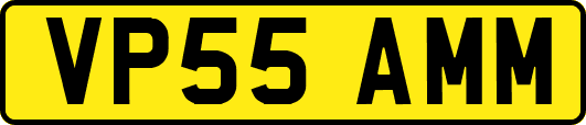 VP55AMM
