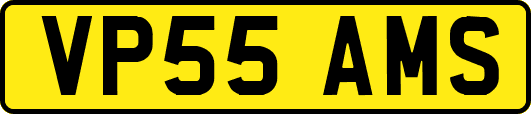 VP55AMS