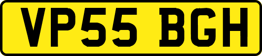 VP55BGH