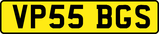 VP55BGS