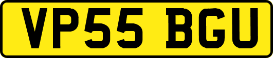 VP55BGU