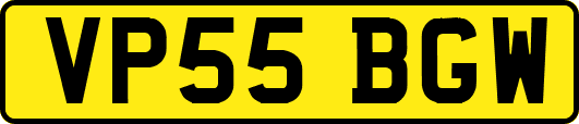 VP55BGW