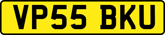 VP55BKU