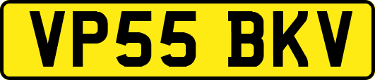VP55BKV