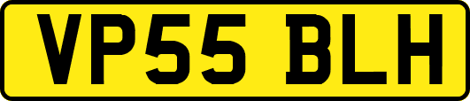 VP55BLH