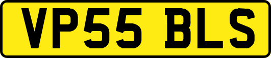 VP55BLS