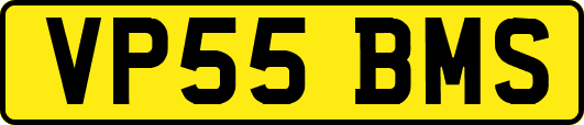 VP55BMS