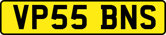 VP55BNS