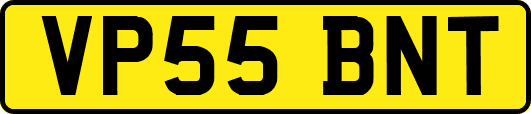 VP55BNT