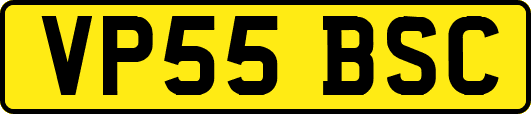 VP55BSC