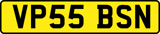 VP55BSN