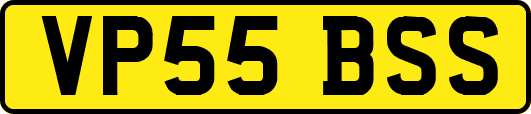 VP55BSS
