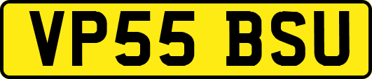 VP55BSU