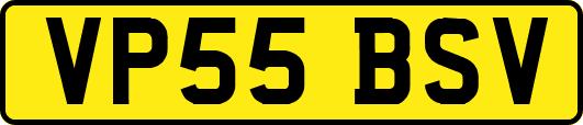 VP55BSV