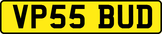VP55BUD