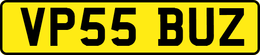VP55BUZ