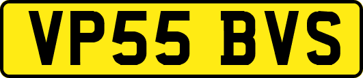 VP55BVS