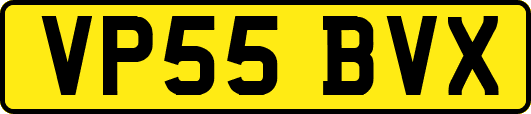 VP55BVX