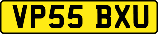 VP55BXU