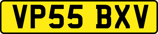 VP55BXV