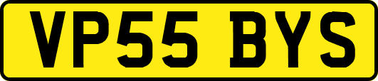 VP55BYS