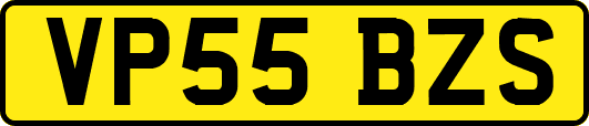 VP55BZS