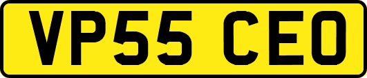 VP55CEO
