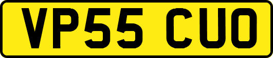 VP55CUO