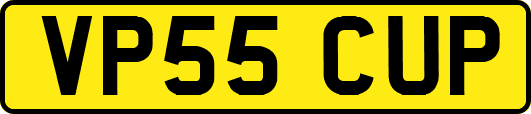 VP55CUP