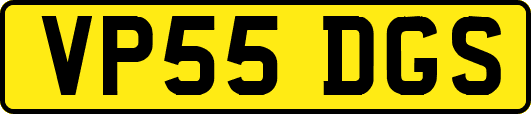 VP55DGS