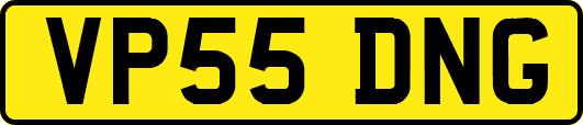 VP55DNG