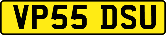 VP55DSU
