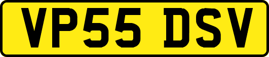 VP55DSV