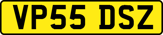 VP55DSZ