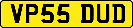 VP55DUD
