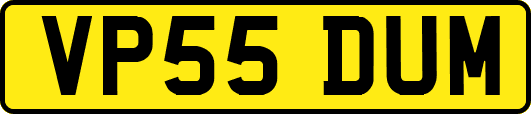 VP55DUM