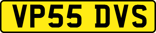 VP55DVS