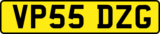 VP55DZG