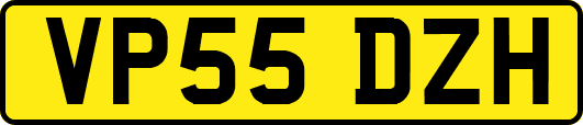 VP55DZH