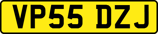 VP55DZJ