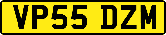 VP55DZM